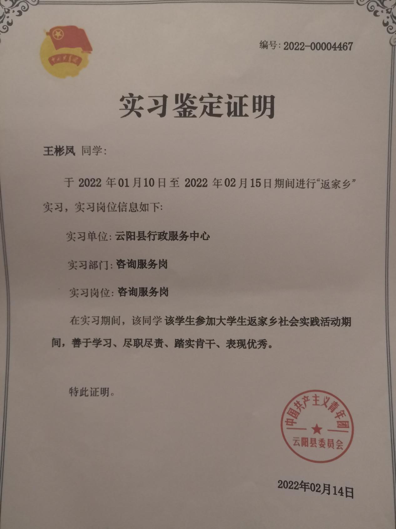 王彬凤9 王彬凤9